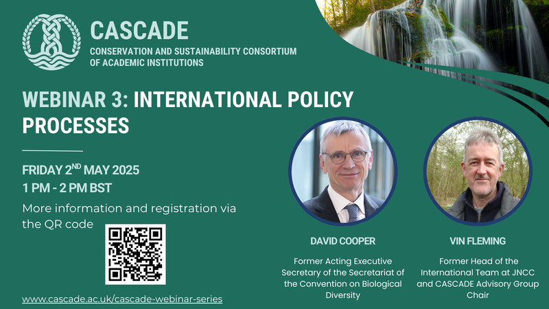 cascade webinar international policy processes